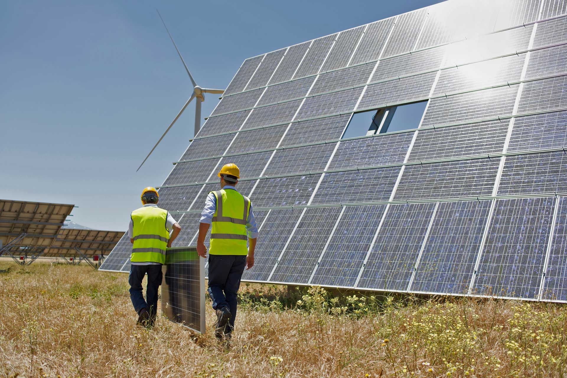 Electricians walking a solar and wind training site